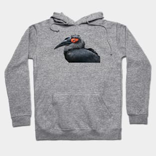 Bird 1 / Swiss Artwork Photography Hoodie